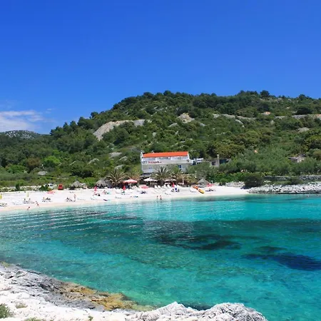 Guest house Double Hvar 8785a 3*